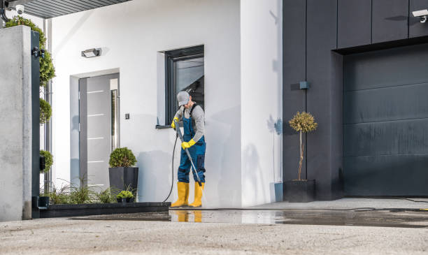 Best Rust Removal  in Edina, MN